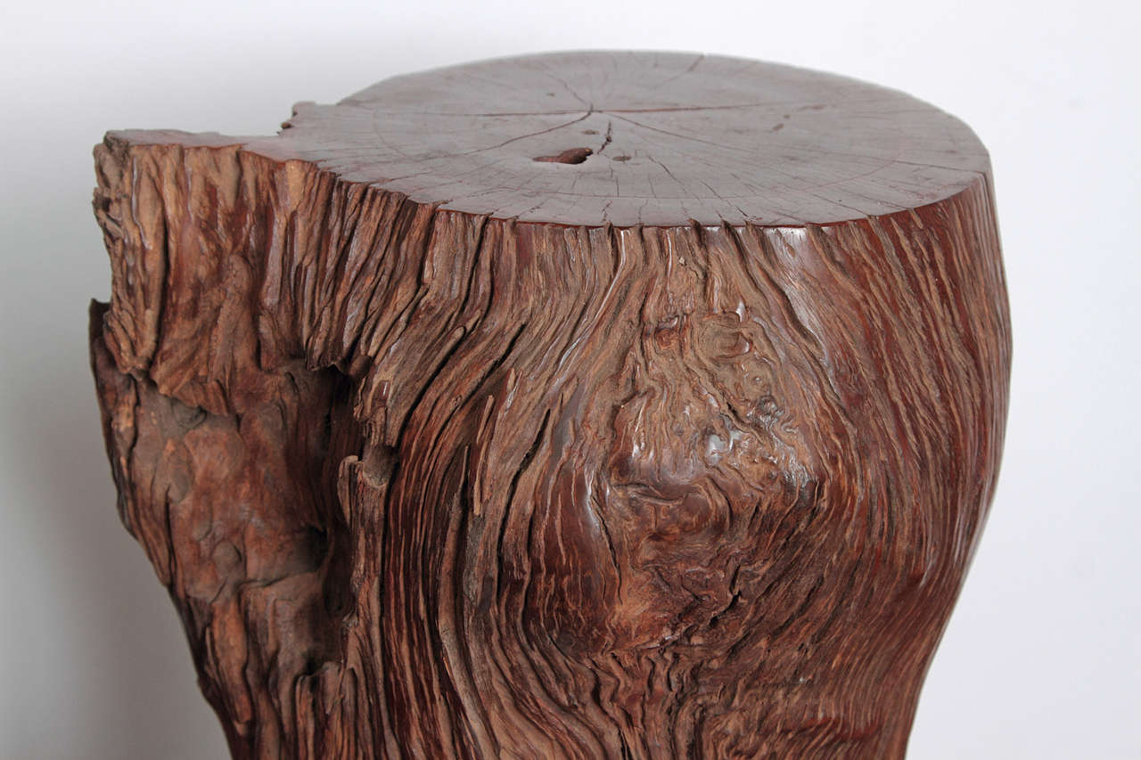 Organic Ironwood Tree Trunk at 1stDibs tree trunk for sale, tree