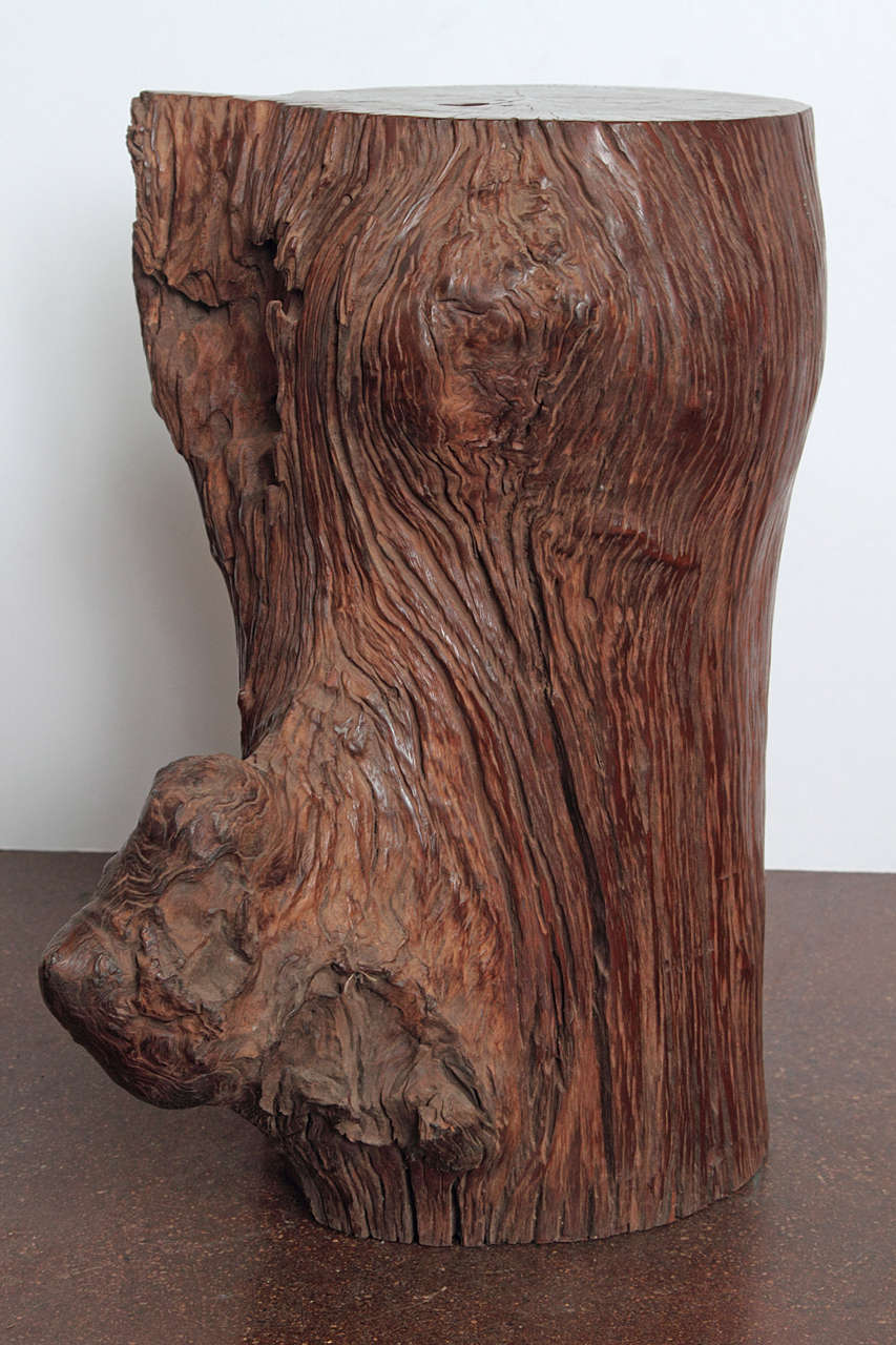 Organic Ironwood Tree Trunk For Sale at 1stdibs