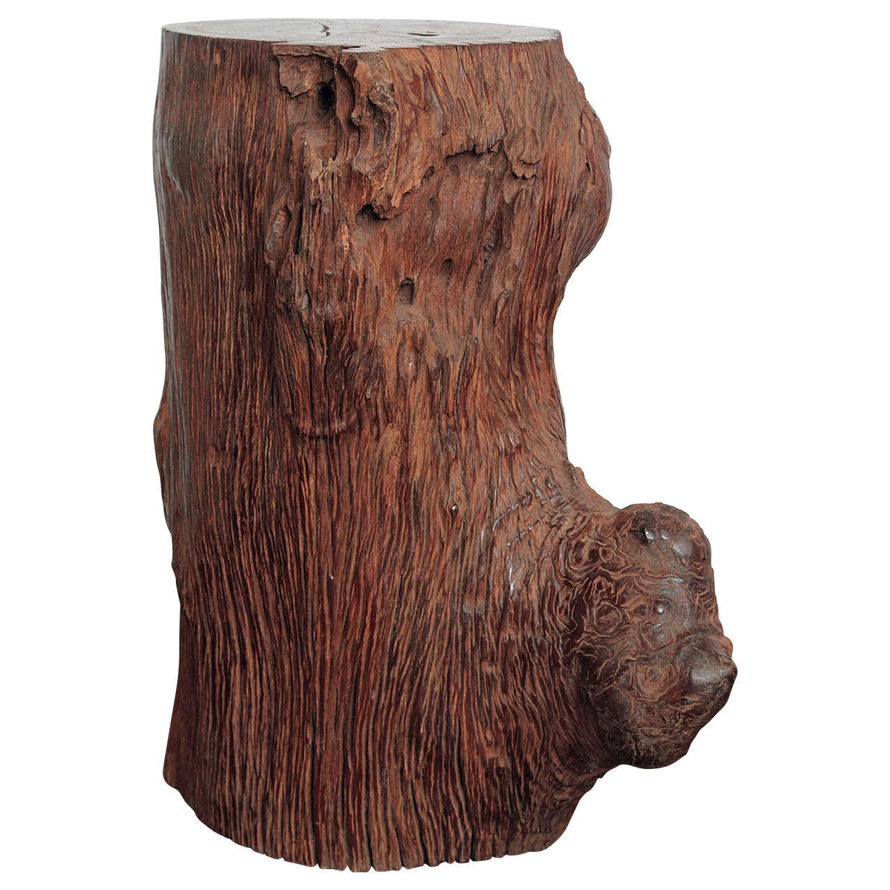 Organic Tall Ironwood Log as Pedestal For Sale at 1stdibs