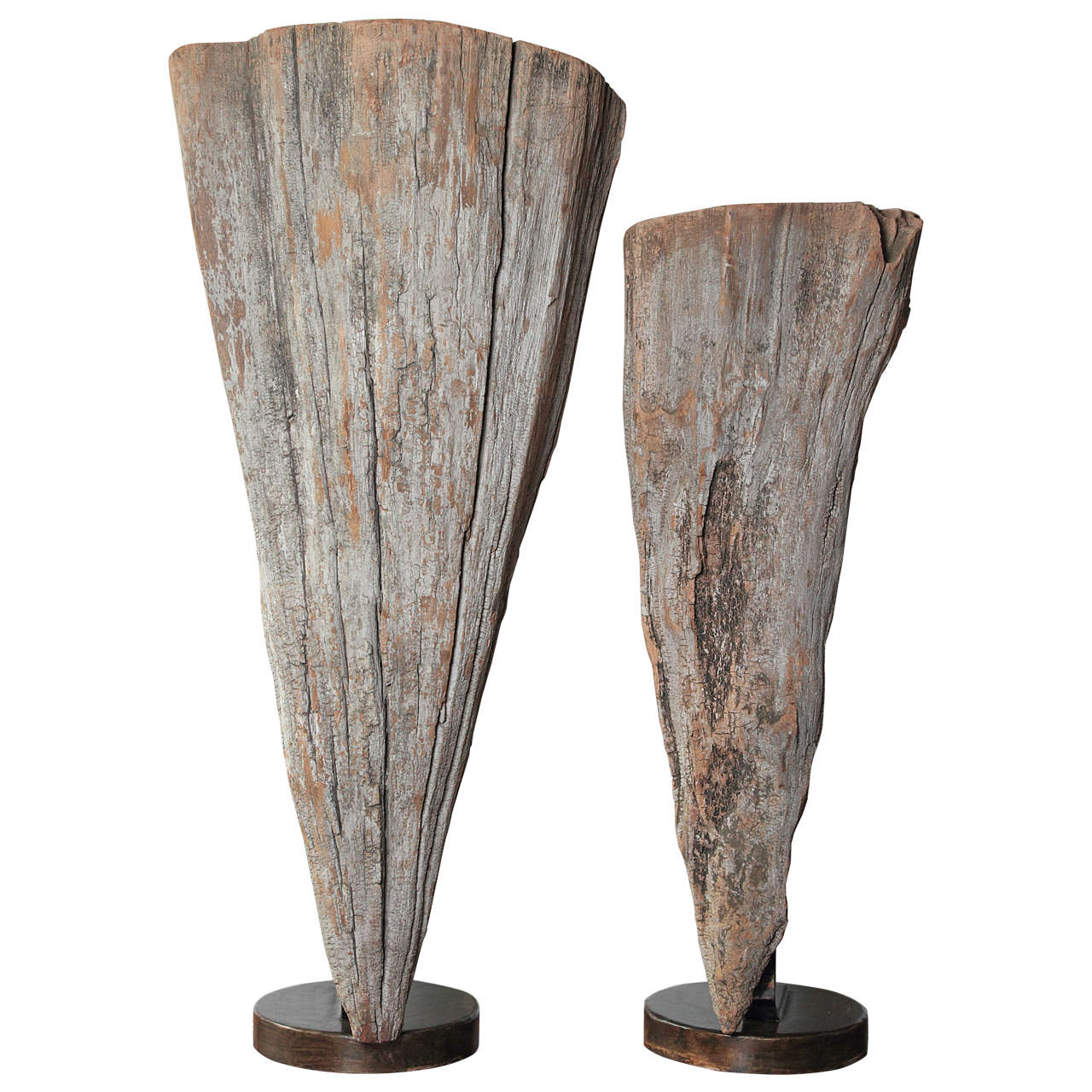 Large Organic Cypress Knee Sculptural Expression on Iron Mount For Sale
