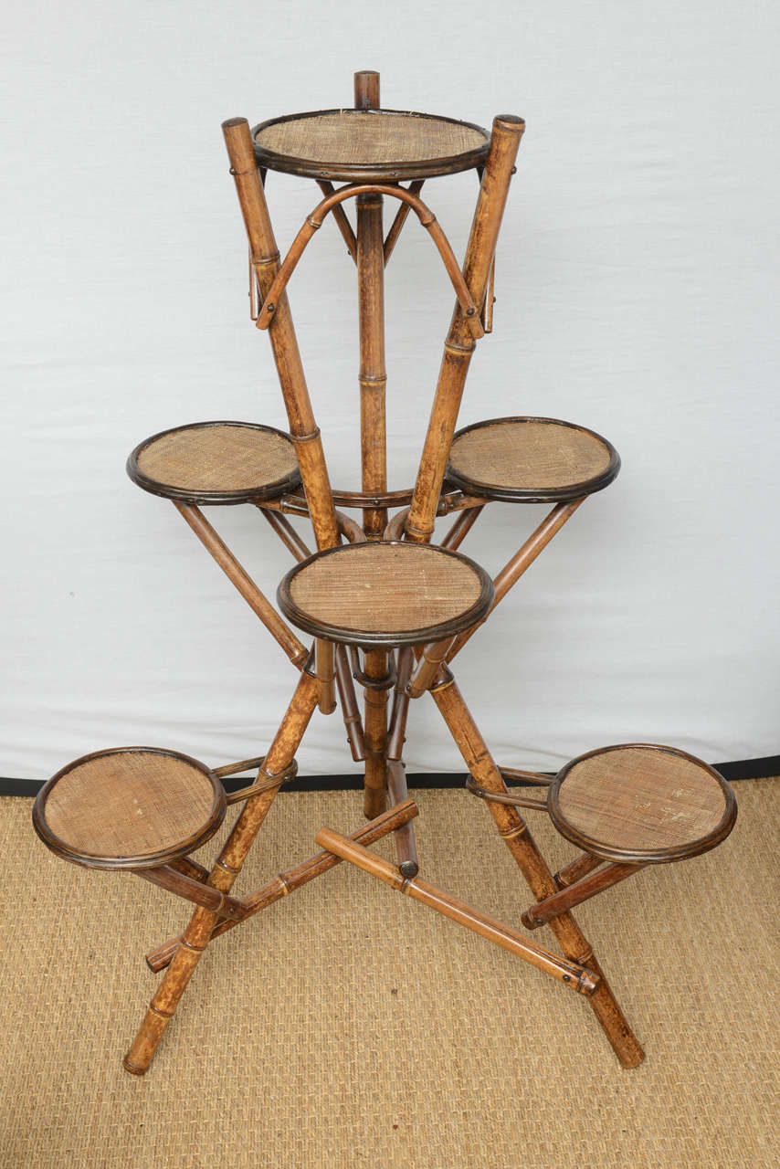 French Bamboo Plant Holder For Sale at 1stdibs