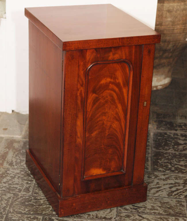 Pair antique English mahogany bedside/sofa cabinets