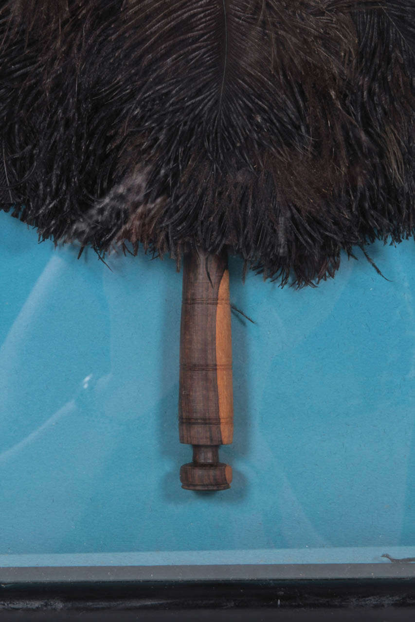 Mid-20th Century Tribal Ostrich Feather Fan in Shadow Box