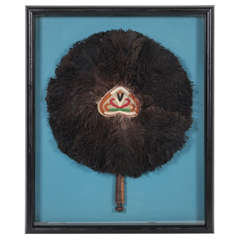 Tribal Ostrich Feather Fan in Shadow Box