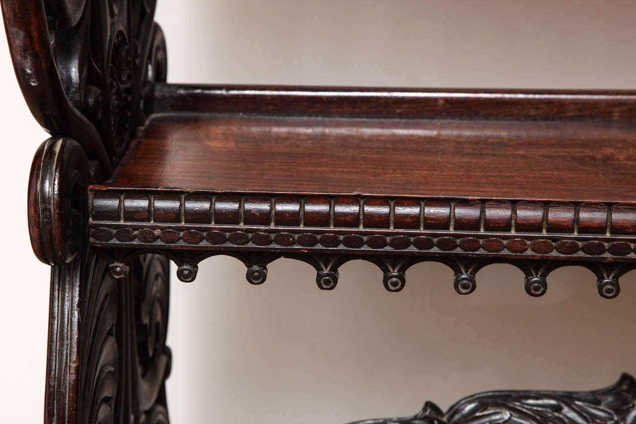 19th Century Raj , Carved Etagere For Sale 5
