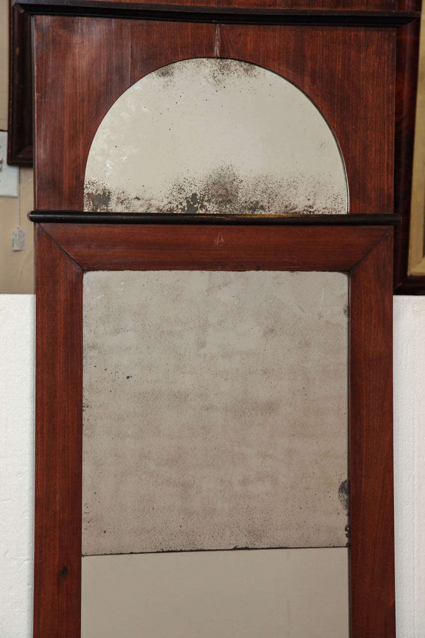 Pair of Mahogany Mirrors, Denmark Circa 1820 For Sale 2