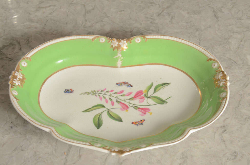 Attractive Royal Crown Derby Porcelain botanical plate circa 1830