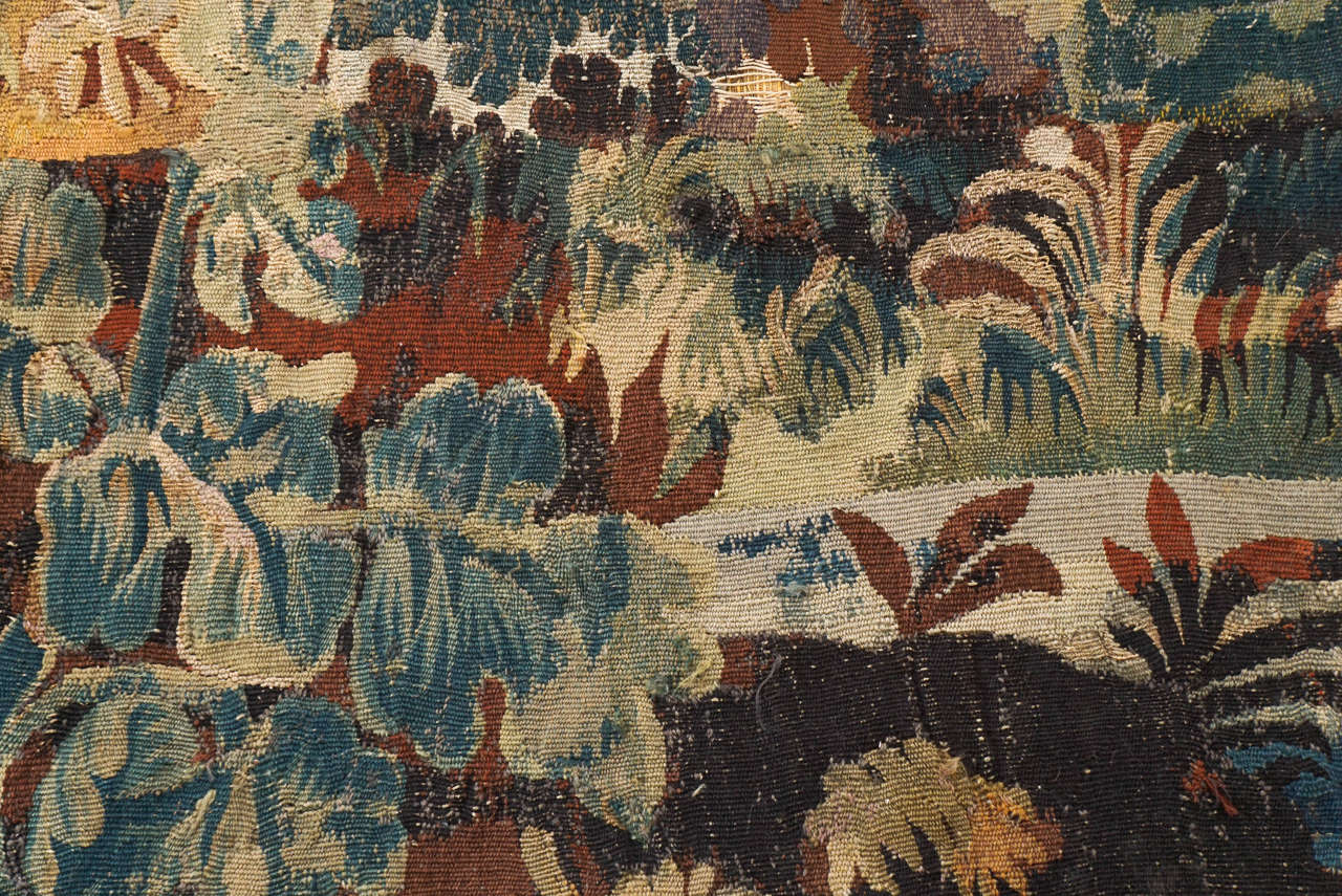 Belgian 17th Century Flemish Verdure Tapestry Panel