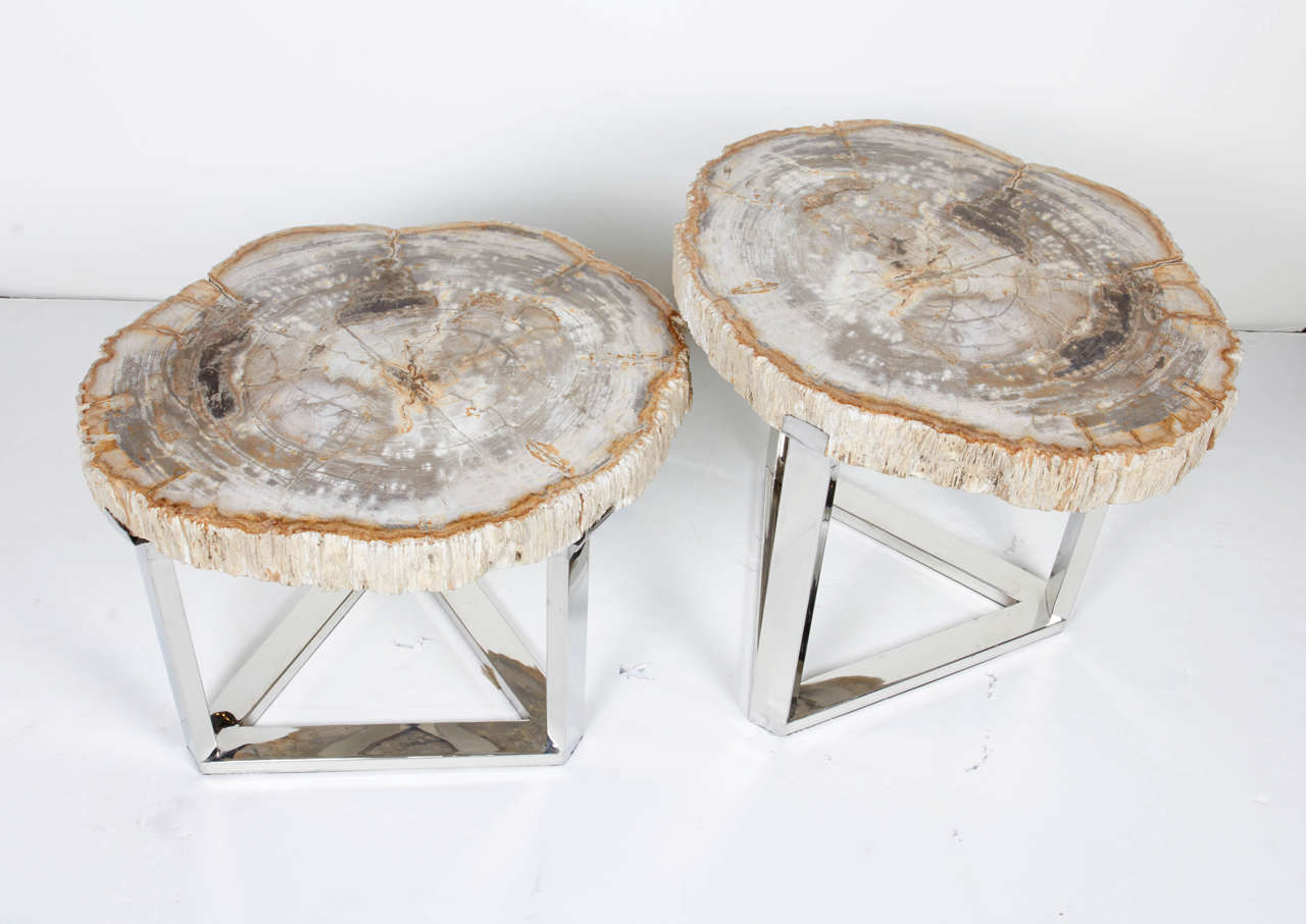 Organic Modern Pair of Petrified Wood Slab Side Tables with Chrome Bases