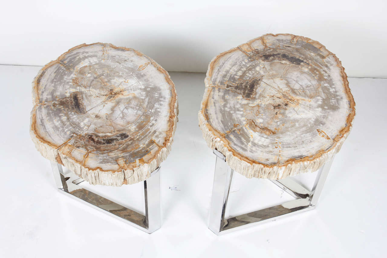 Indonesian Pair of Petrified Wood Slab Side Tables with Chrome Bases
