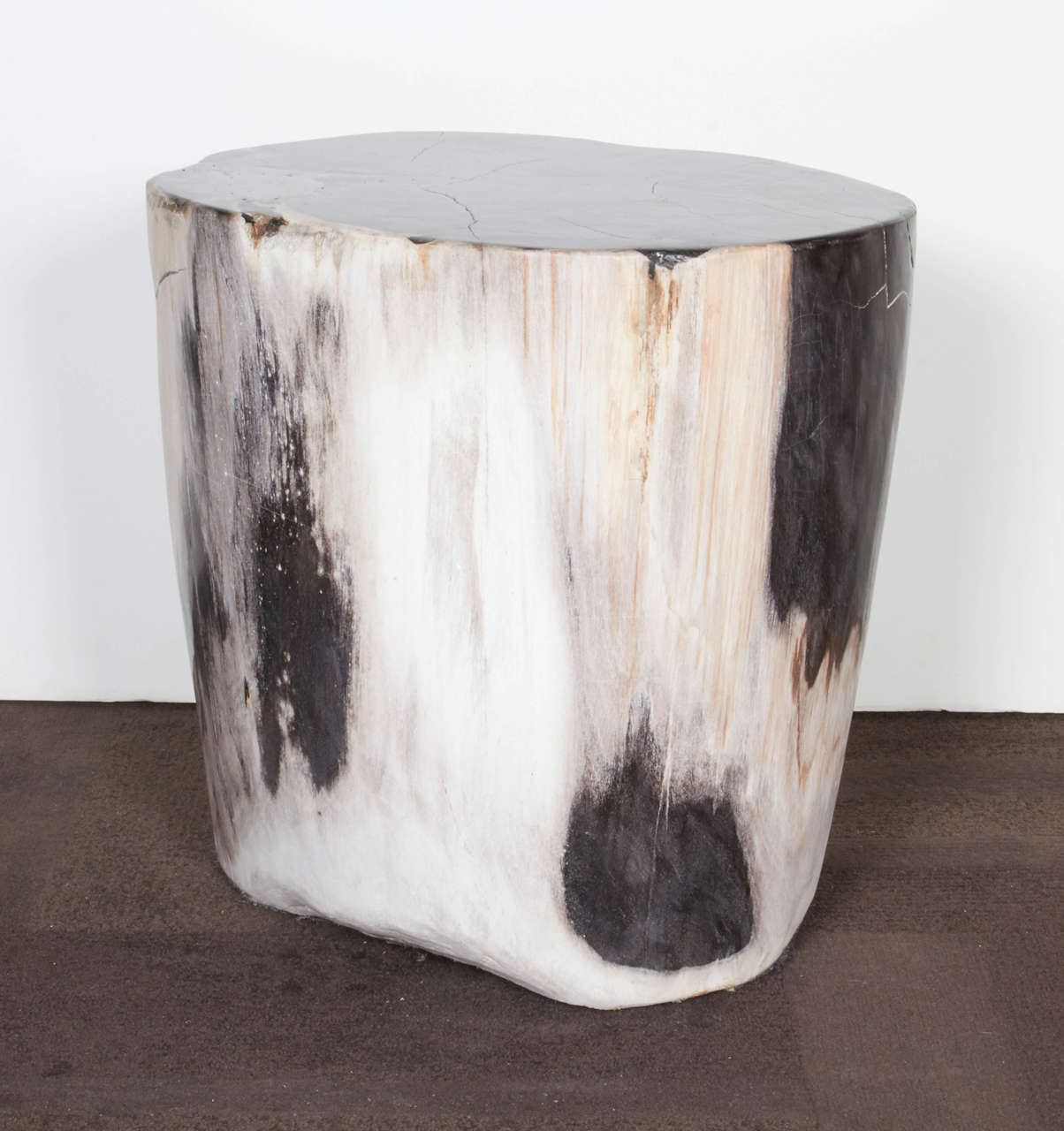 black petrified wood side table