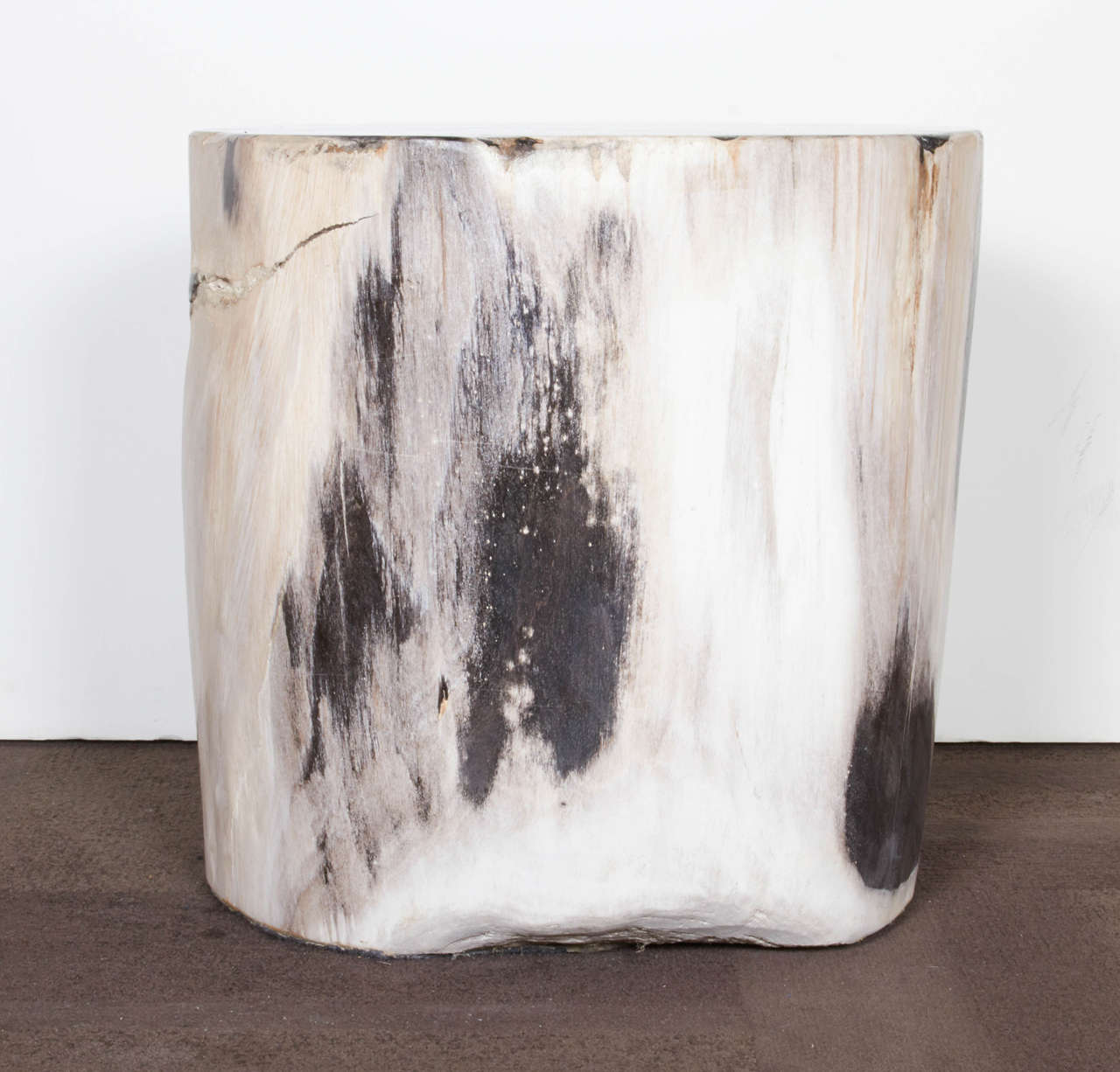Organic Modern Outstanding Petrified Wood Side Table with Black Onyx Colored Top