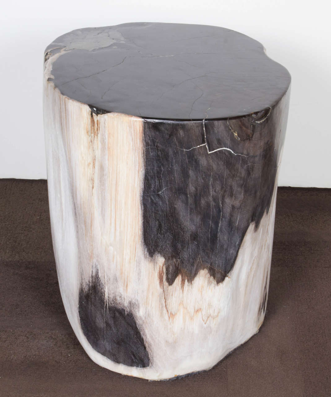 Indonesian Outstanding Petrified Wood Side Table with Black Onyx Colored Top