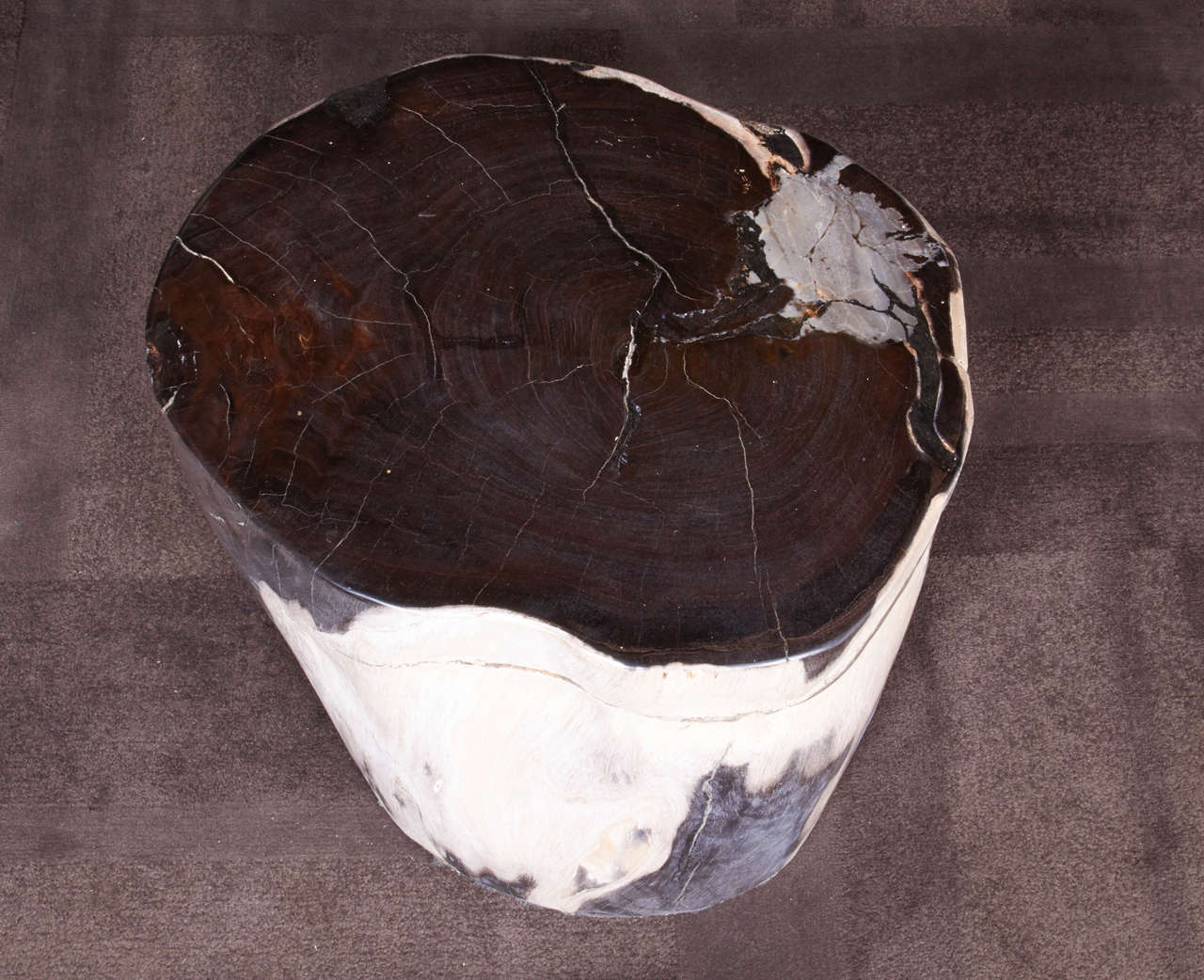 Outstanding Petrified Wood Side Table with Black Onyx Colored Top In Excellent Condition In Fort Lauderdale, FL