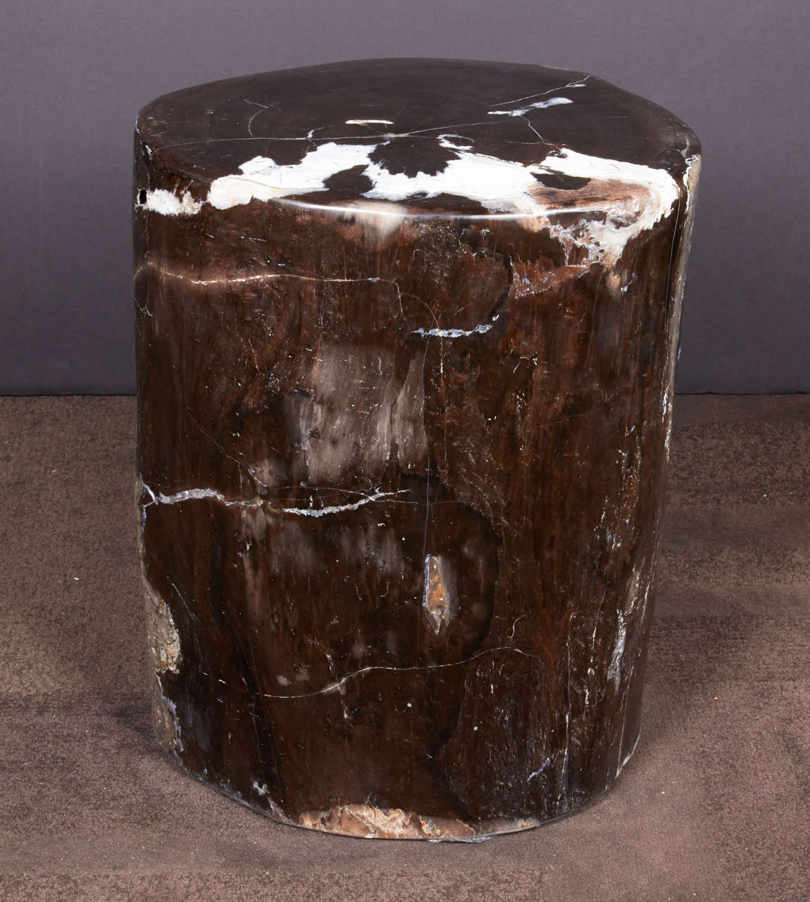 Remarkable example of wood petrification. Naturally fossilized throughout millions of years. Outstanding quality that has been hand-cut and polished and can double as a stool or seating. Organic free-form shape predominantly in hues of black onyx