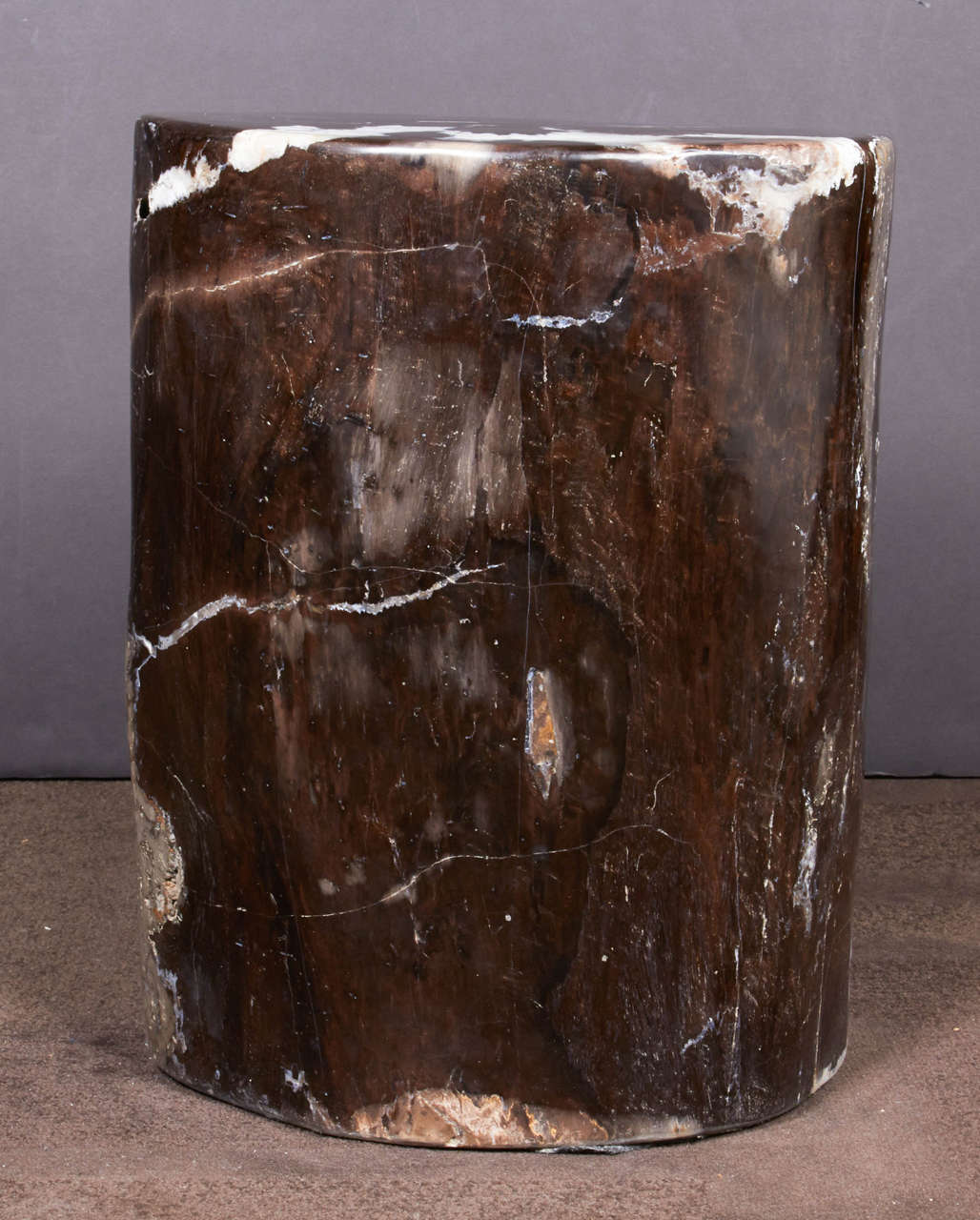 Organic Modern Outstanding Petrified Wood Side Table in Hues of Black Onyx