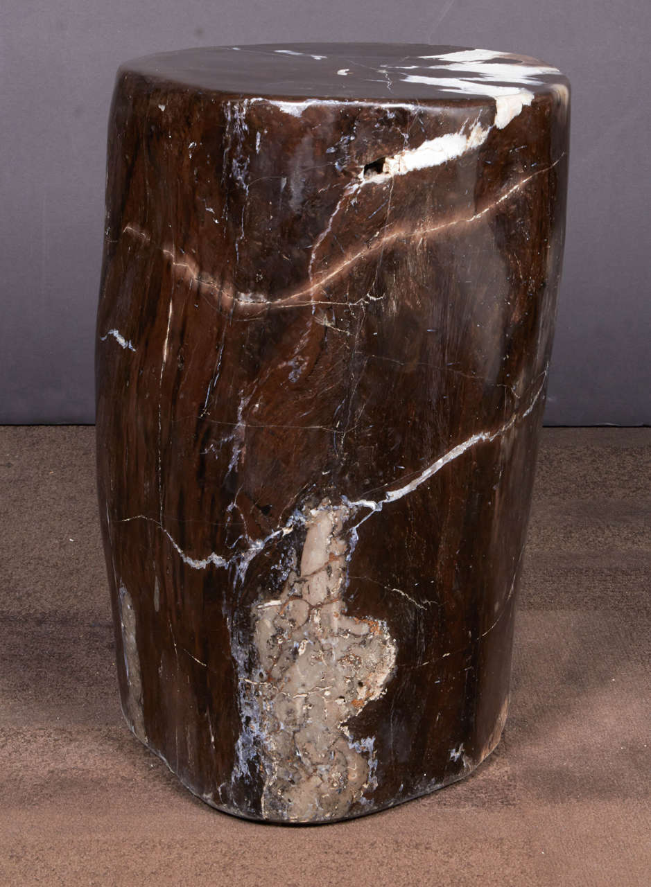 Indonesian Outstanding Petrified Wood Side Table in Hues of Black Onyx