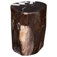 Magnifique table d'appoint en bois pétrifié dans les tons d'onyx noir