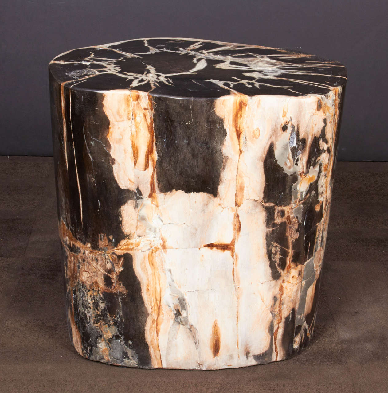 Remarkable example of wood petrification, naturally fossilized throughout hundreds of years. Outstanding quality, has been hand-cut and polished and can double as a stool or seating. The beauty of petrified wood is the rarity and originality of each