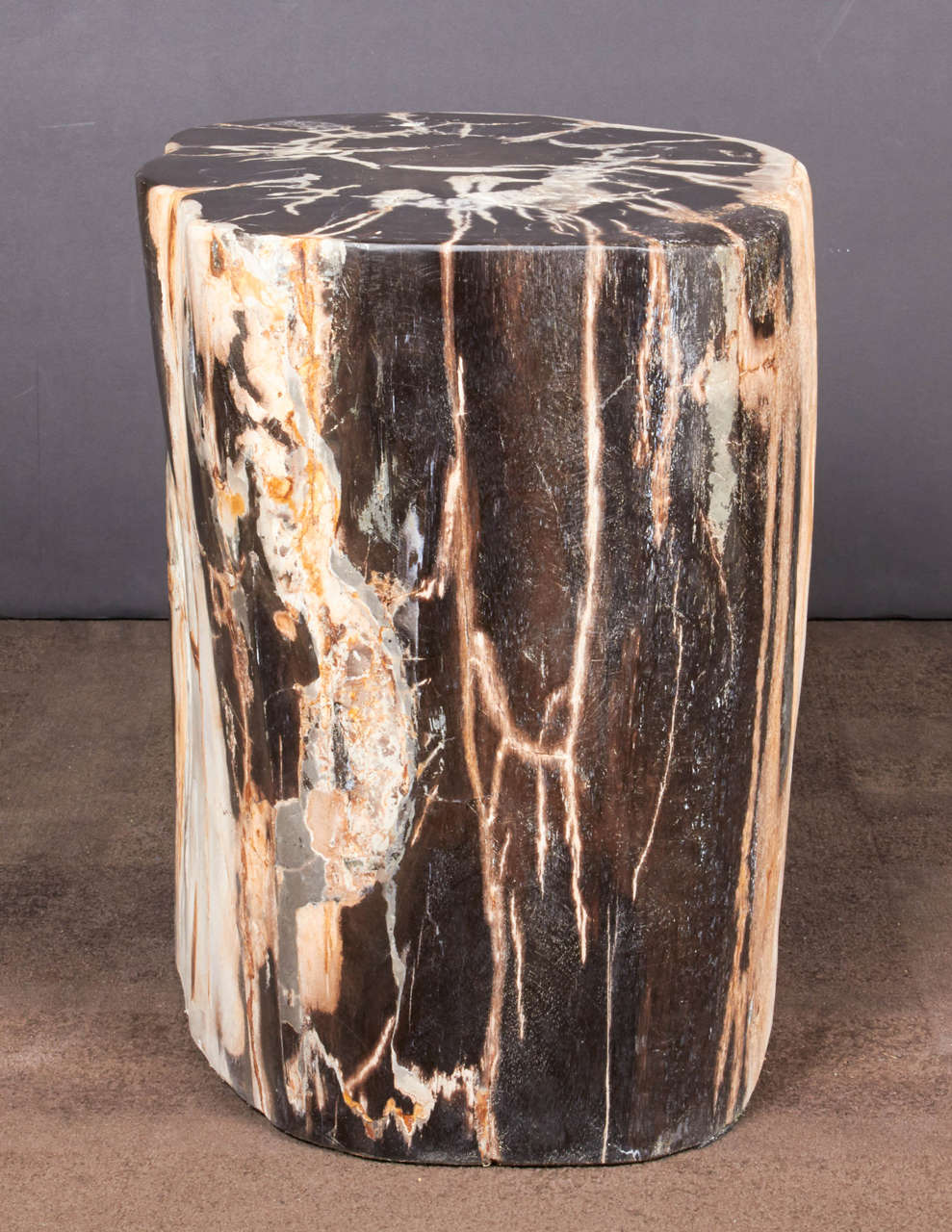 Indonesian Exquisite Petrified Wood Side Table with Natural Striped Top