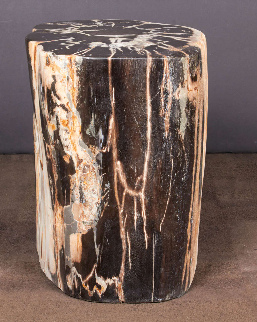 Polished Exquisite Petrified Wood Side Table with Natural Striped Top