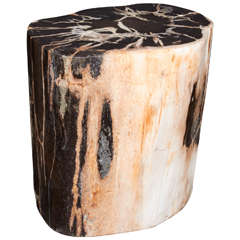 Exquisite Petrified Wood Side Table with Natural Striped Top