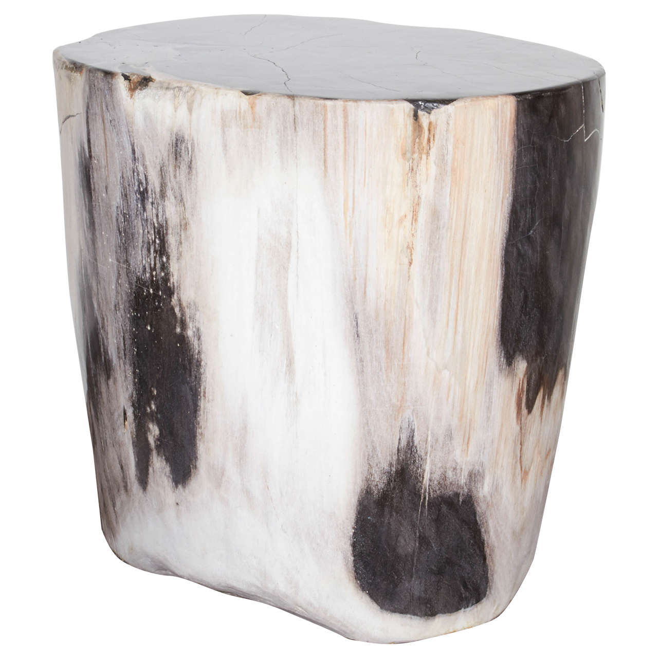 Outstanding Petrified Wood Side Table with Black Onyx Colored Top at