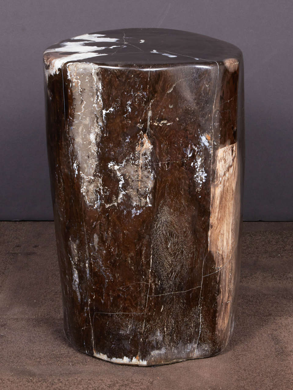 Outstanding Petrified Wood Side Table in Hues of Black Onyx at 1stDibs