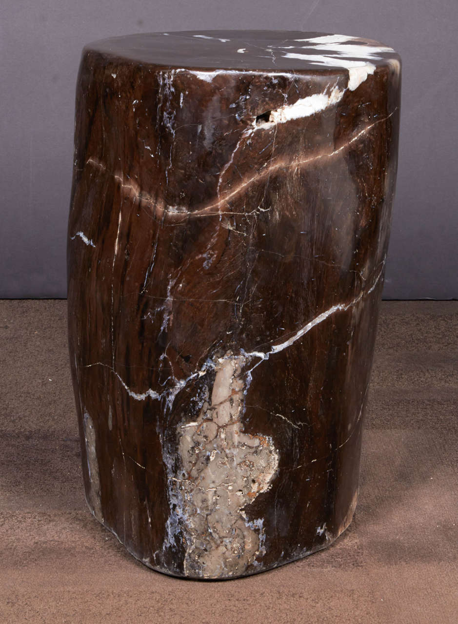 Outstanding Petrified Wood Side Table in Hues of Black Onyx at 1stDibs