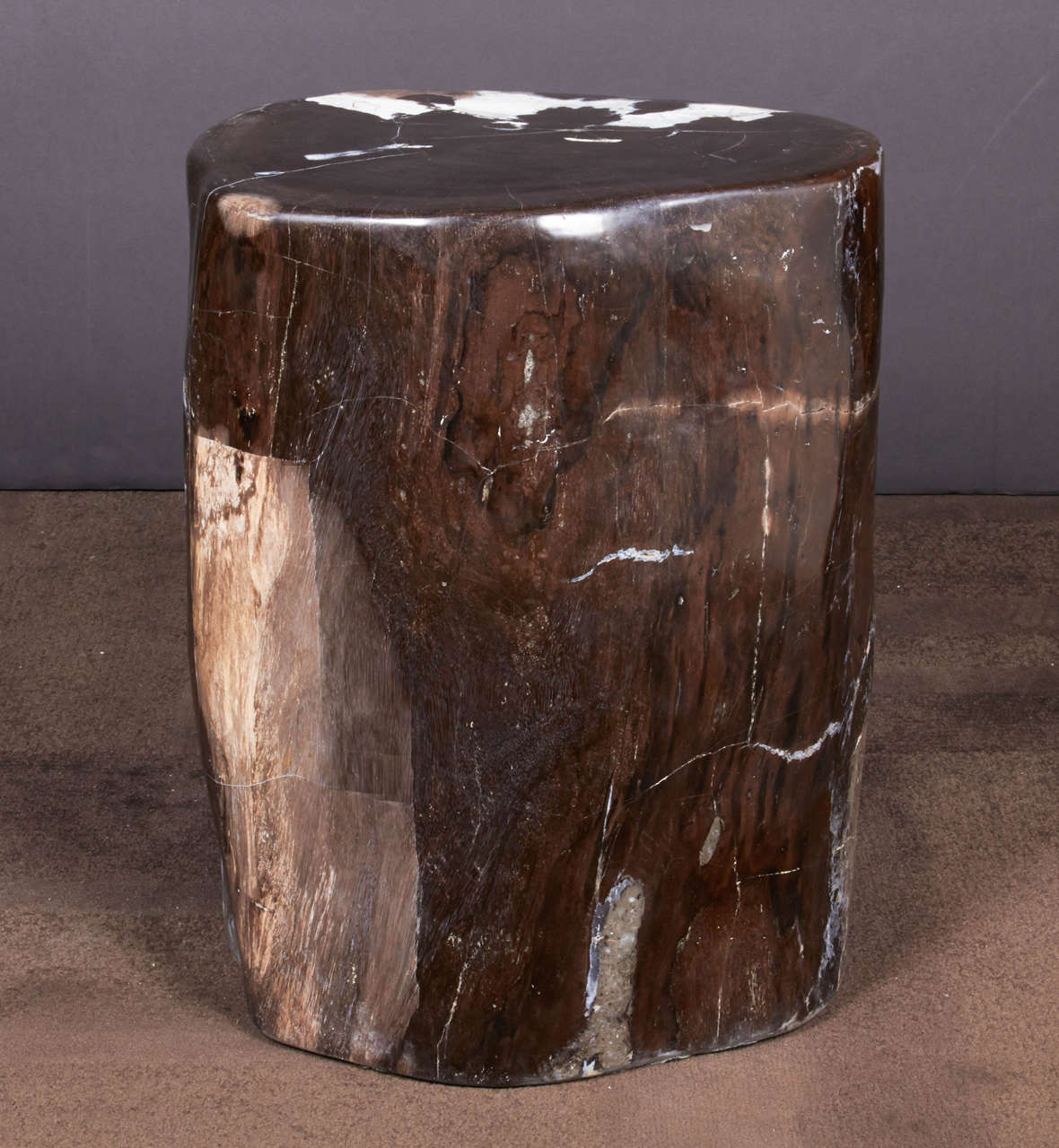 Outstanding Petrified Wood Side Table in Hues of Black Onyx at 1stDibs