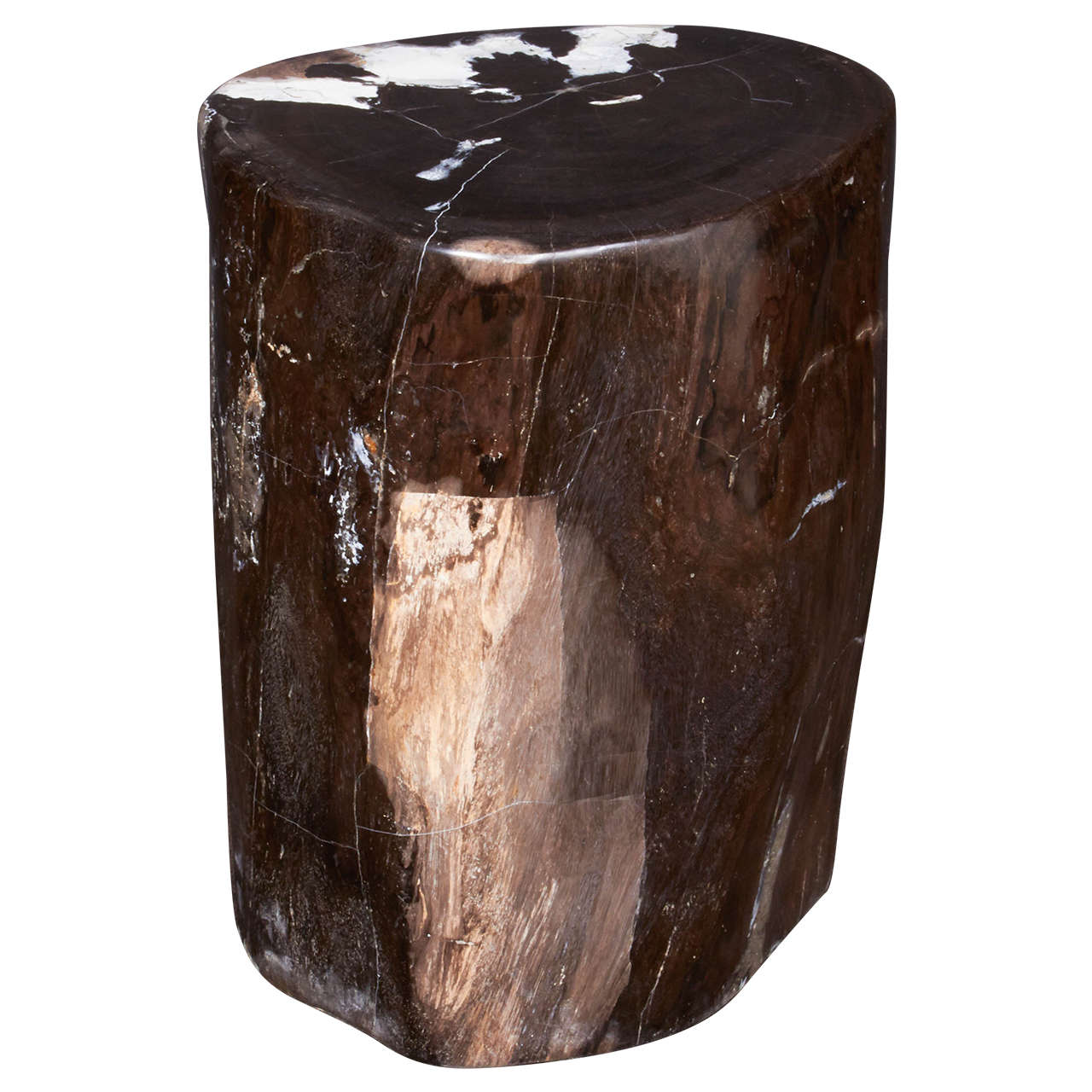 Outstanding Petrified Wood Side Table in Hues of Black Onyx at 1stDibs