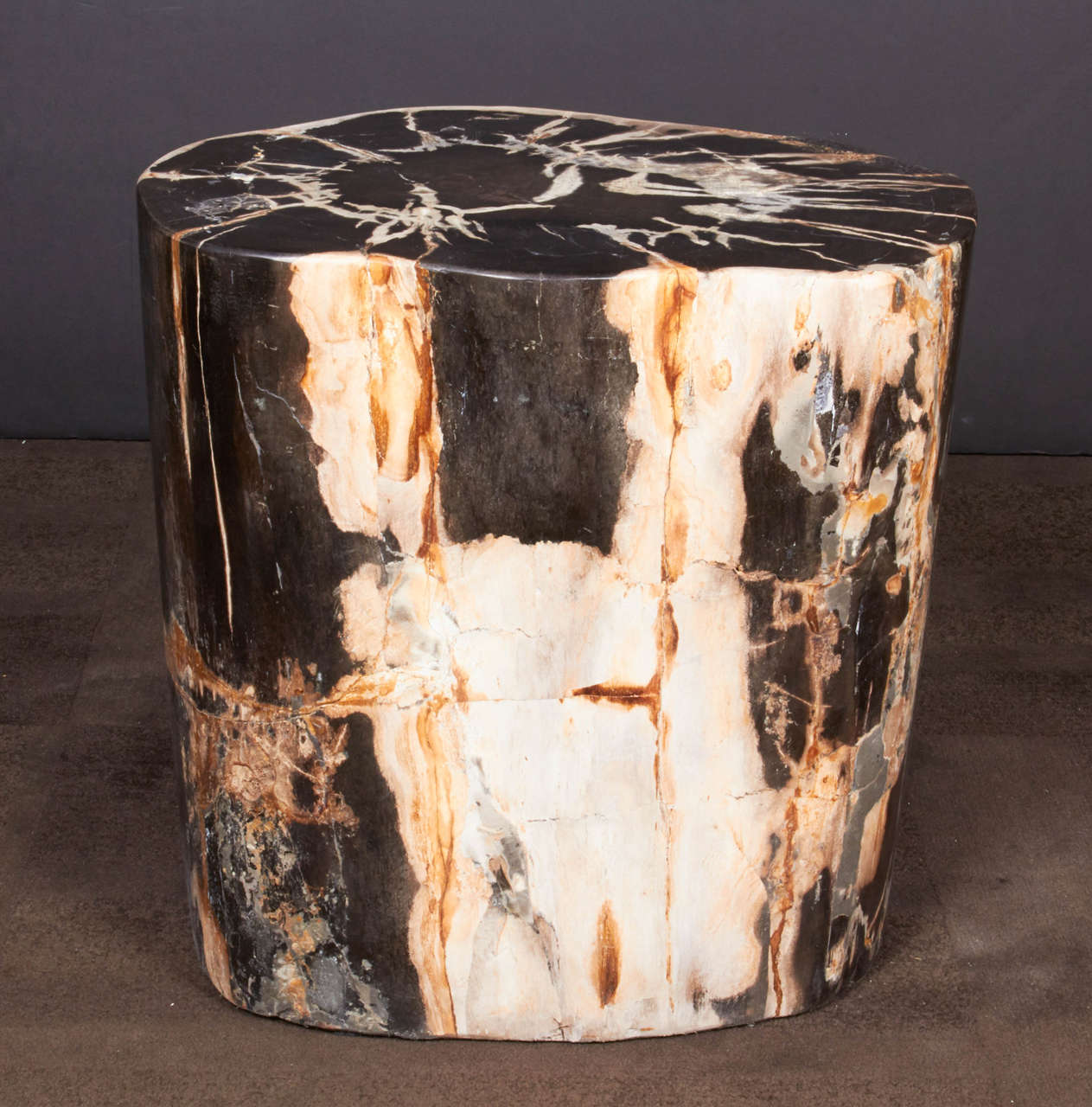 Exquisite Petrified Wood Side Table with Natural Striped Top at 1stDibs