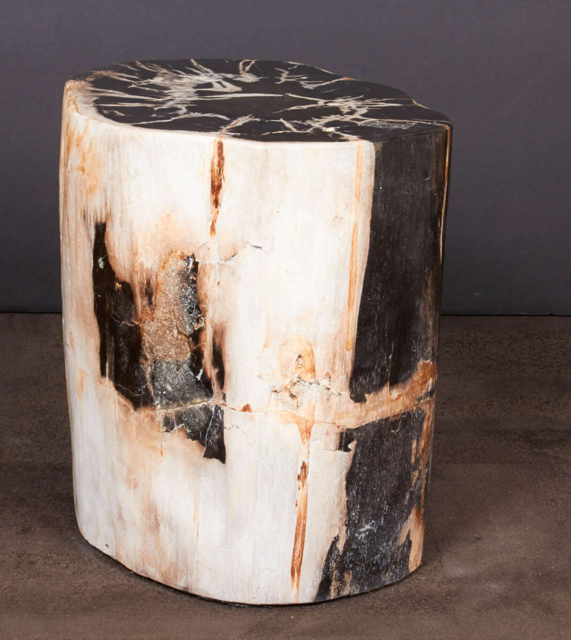 Exquisite Petrified Wood Side Table with Natural Striped Top at 1stDibs