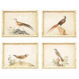 Set of Four Chinese Export Watercolors of Birds