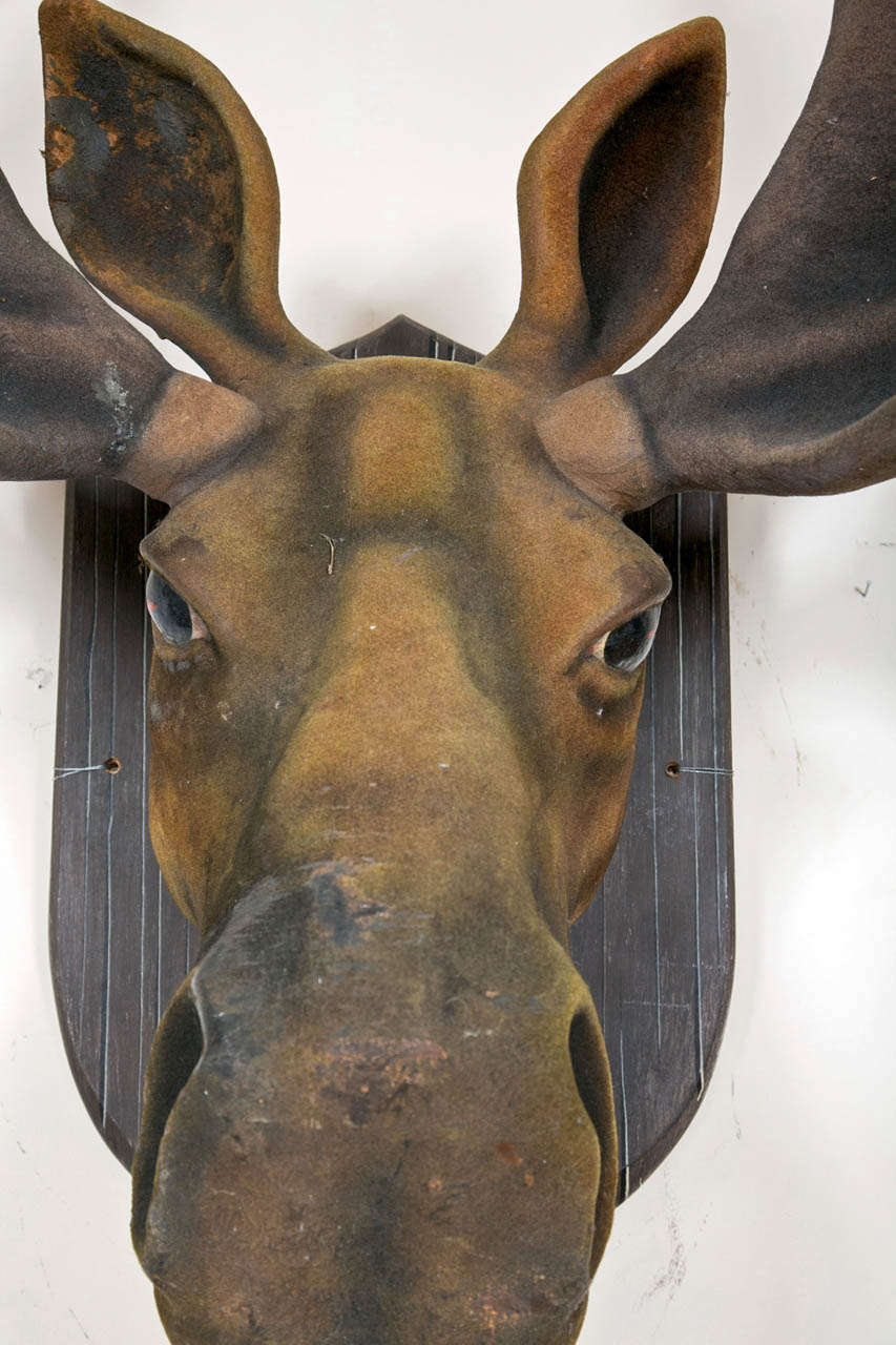 Whimsical oversized moose head,  unique flocked and wood folk art.
