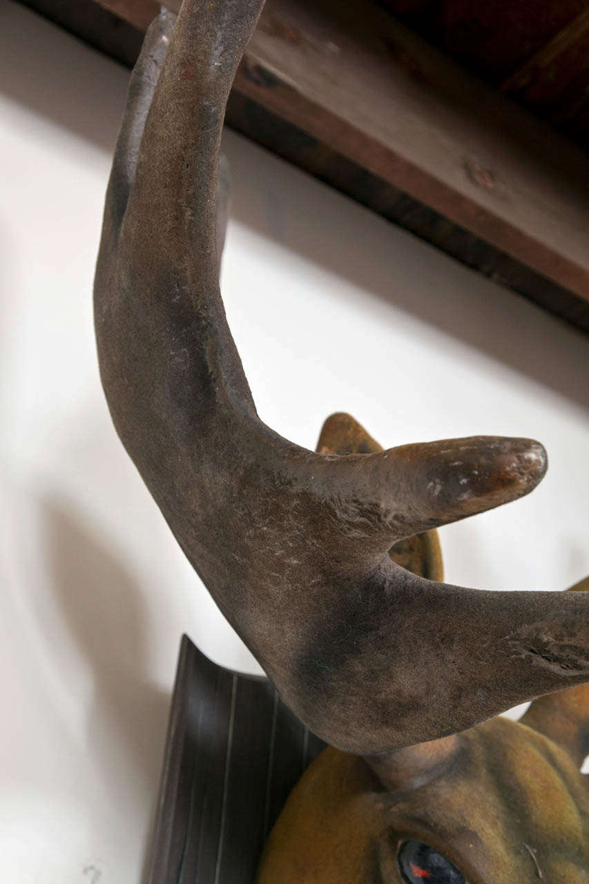 English Faux Flocked Moose Head For Sale