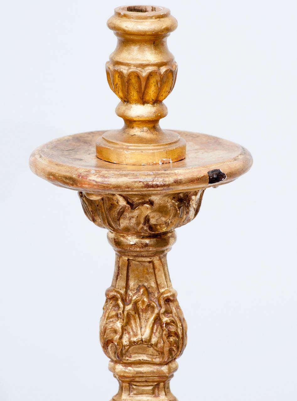 Baroque 19th Century Italian Carved Gilt Wood Candlesticks For Sale