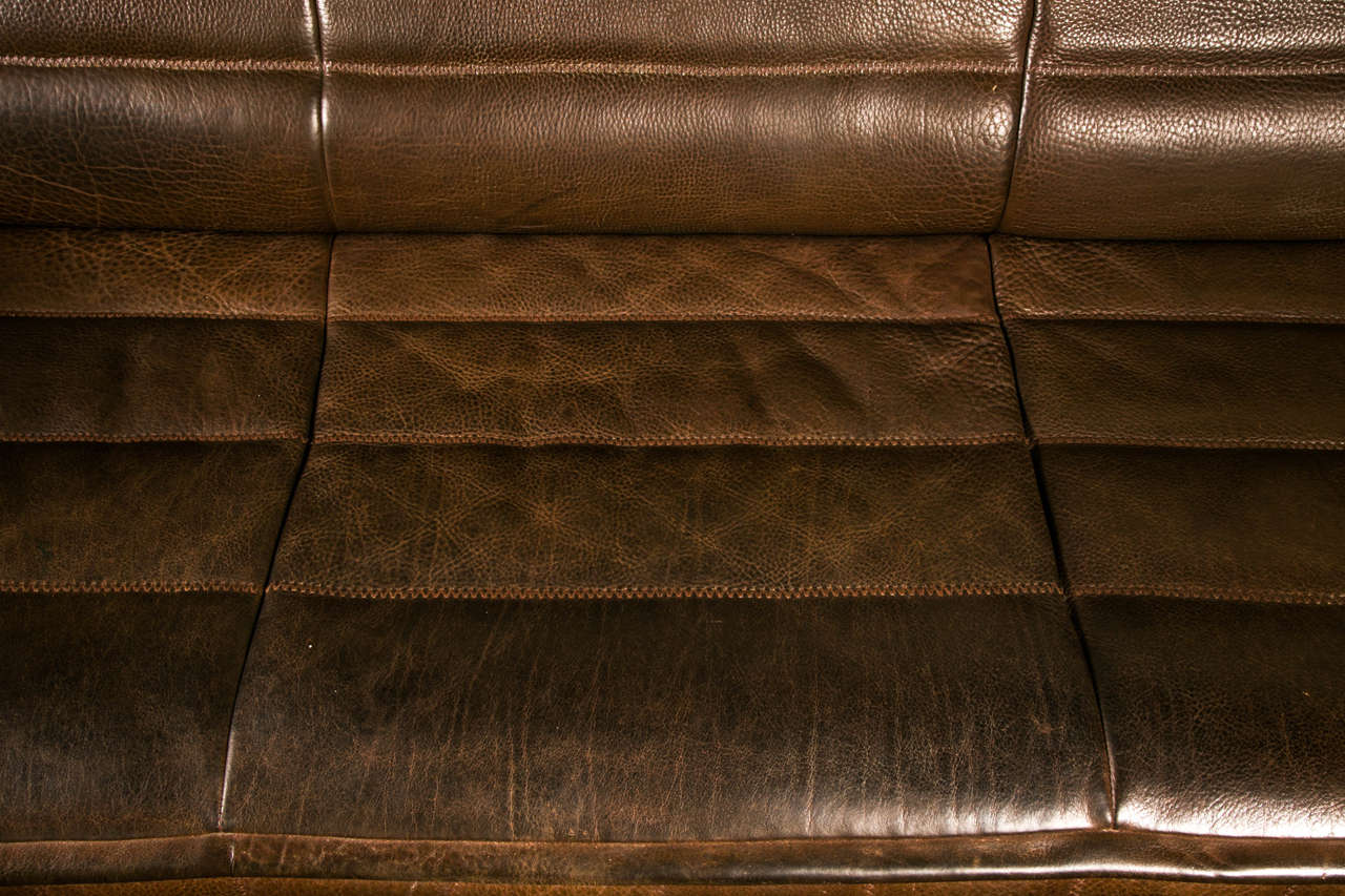 Thick Buffalo Leather Sofa by De Sede, 1970s For Sale 1