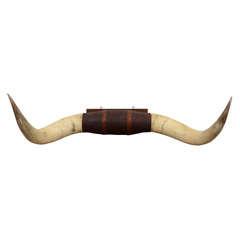 Pair of Vintage Ox Horns with Tooled Leather Mounting