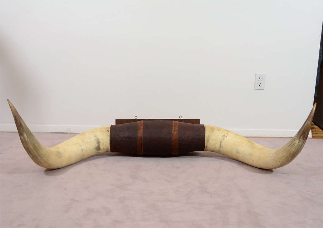 Pair of Vintage Ox Horns with Tooled Leather Mounting at 1stDibs ox