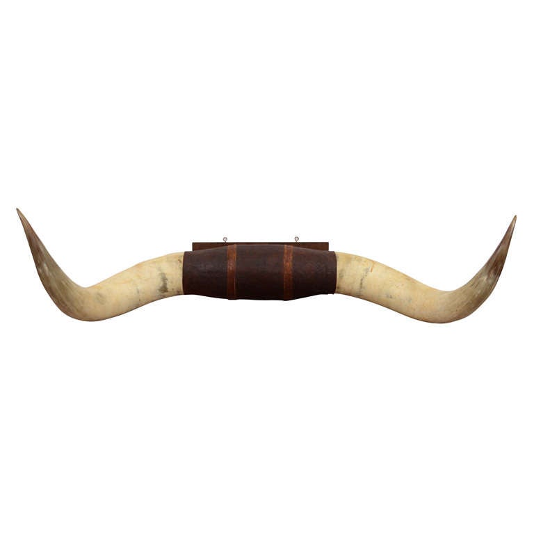 Pair of Vintage Ox Horns with Tooled Leather Mounting at 1stdibs