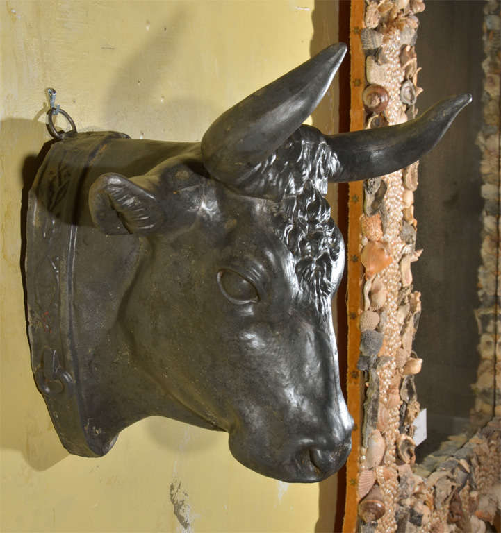Tete de Vache