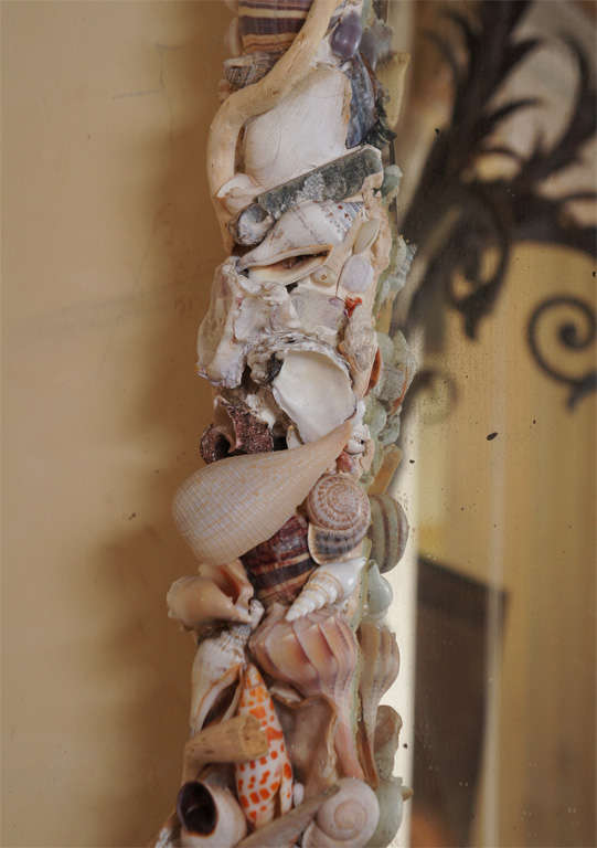 Plaster An Antique Shell Encrusted Mirror