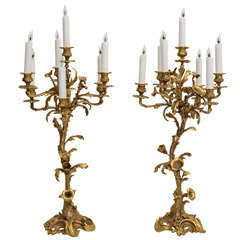 Pair of French Ormolu Candelabras, 19th Century