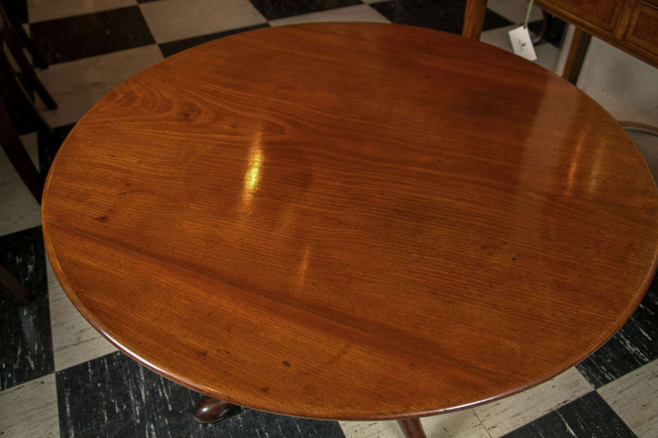 19th Century English Mahogany Tilt-Top Table For Sale