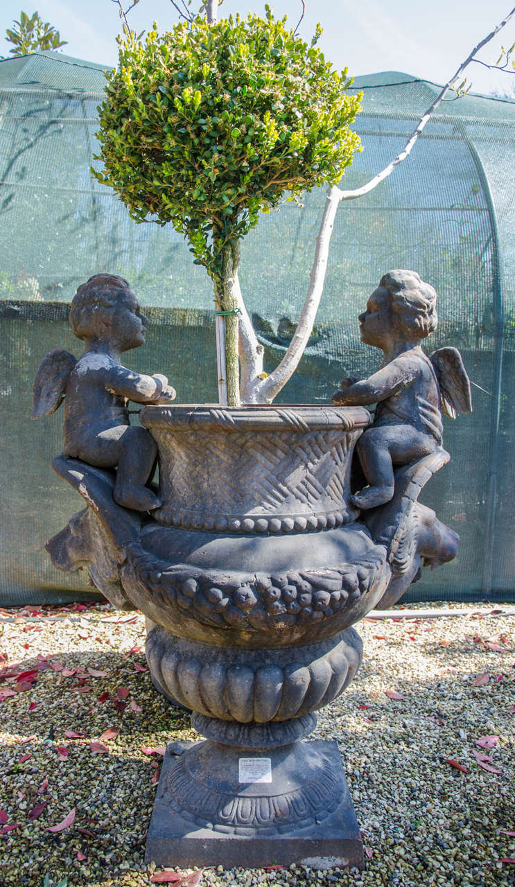 A highly decorative pair of garden urns each with a pair of putti sitting atop a lion mask. The urns also feature floral swags and a laticework design.