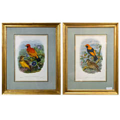 Fine Pair of Wonderfully Framed Lithographs 7