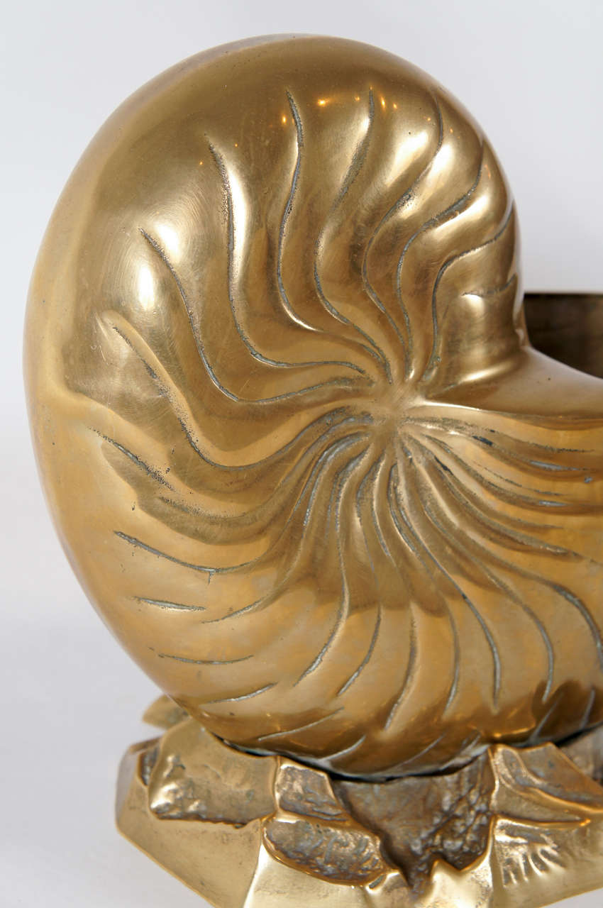 A Large Brass Nautilus Shell Vase 2