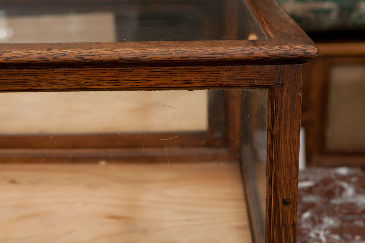 American Antique oak counter display case