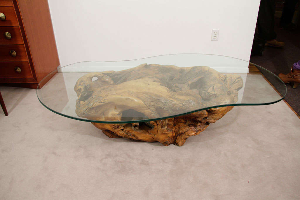 Mid Century "Root" Base Glass Top Coffee Table